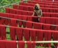 Infrastructure slowdown dents Welspun's growth hopes