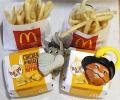 McDonald's serves sack notice on India partner
