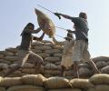 Budget: MGNREGA allocation hiked by Rs 3,800 crore