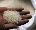 India's rice exports to fall as rivals sell cheap