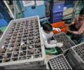 Ambattur MSMEs' poor run likely to continue in 2013