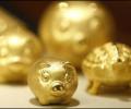 FM on why import duty on gold was hiked