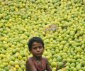 Food Bill: Lessons India should have learnt from Soviet Union