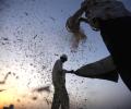 Delhi, Haryana to launch food security scheme on Aug 20
