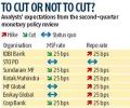 Will the RBI cut or hike rates?