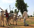 Parliament passes historic Land Acquisition Bill