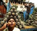 India sees clear pick up in growth momentum: OECD