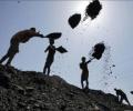 CIL to pay special dividend if stake sale fails: Economist