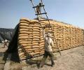 India says confident WTO will understand food security concerns