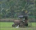 Monsoon hits Kerala, 'sluggish march', says Met Dept