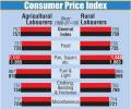 Retail inflation for farm and rural workers eases in February