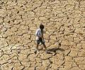 El Nino may impact India's GDP by 1.75%: Assocham