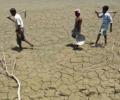 El Nino impact, slow growth are hurdles for new govt: Report