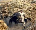 Good news for UP sugar mills