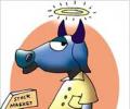 Investor wealth zooms over Rs 23 lakh cr so far this year