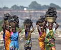 Govt may consider auctioning 8 coal blocks