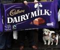 Taxman demands $88 mn from Cadbury India