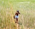 Narendra Modi backtracks on pro-business land bill