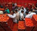 Wholesale inflation falls 2.4% in June