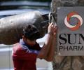 No sunshine for Sun Pharma in FY16