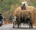 Economic growth: Adding some water to the milk!