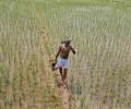 India to issue land reform order to get around political deadlock