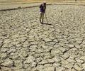 Rural distress: Madhya Pradesh faces the brunt of monsoon failure