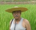 What other farmers can learn from Manipur's Devakanta