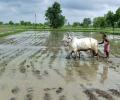 Slight Relief From Heatwave In Punjab, Haryana