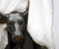 Top 8 cos add Rs 46,505 cr in market valuation; TCS shines