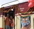 Onboard the amazing Tiger Express