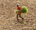 Budget 2016: Modi's panacea for rural India is as hopeless as ever