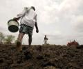 Scanty rain in June hits sowing of kharif crops