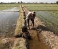 Land reforms fail, only 5% of India's farmers control 32% land