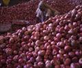 Govt bans onion export, imposes stock limit