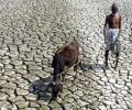 Plan to make Maharashtra drought-free by 2019 fails miserably