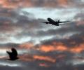 Airlines collected UK airport tax despite exemption