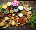 'Covid has made Ayurveda mainstream'