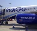 IndiGo no more in race to buy Air India