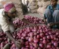 Why onion farmers are harvesting premature crop