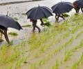 Can poor monsoons rain on the BSE's parade?