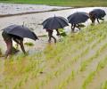 Southwest monsoon has been fairly normal this year: IMD