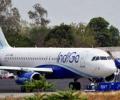 IndiGo places firm order for 500 planes with Airbus