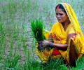 Can 'PM Kisan' help BJP in UP?