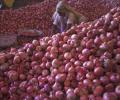 Onion production likely to be more than last year, potato lesser