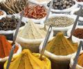 Spice row: Govt plans greater scrutiny, SOPs