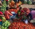 Retail inflation soars to 8-yr high of 7.79% in April