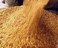 Traders want reduction in duty on chana, govt says no