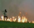 Paying farmers for not burning stubble is wrong