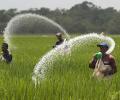 Fertiliser subsidy may go up 55% to record Rs 2.5 lakh crore